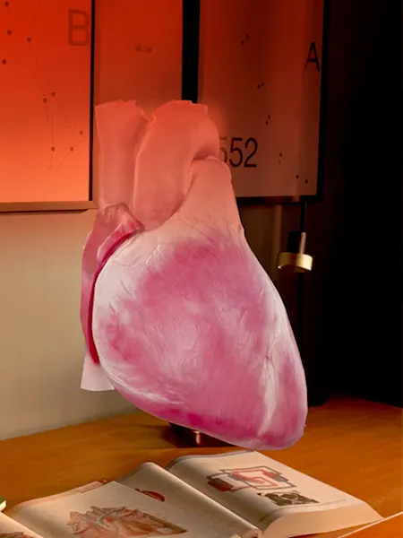 Heart as seen in Complete HeartX app