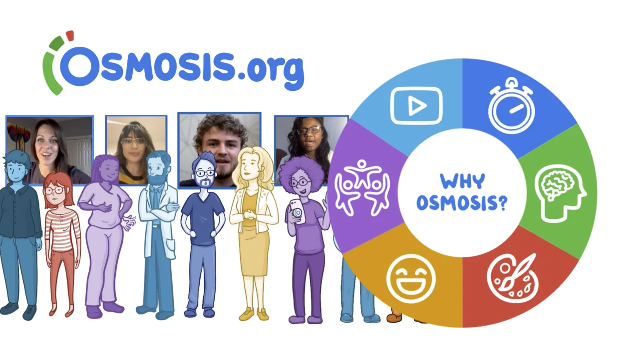 Why Osmosis illustration