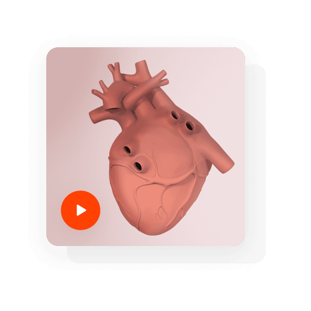 Video Clip Heart Feature