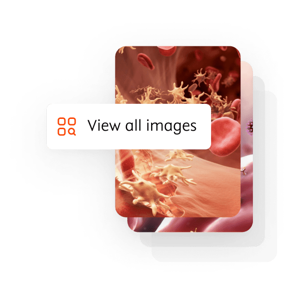View Images Feature